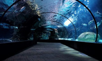 aquarium-de-la-rochelle.jpg