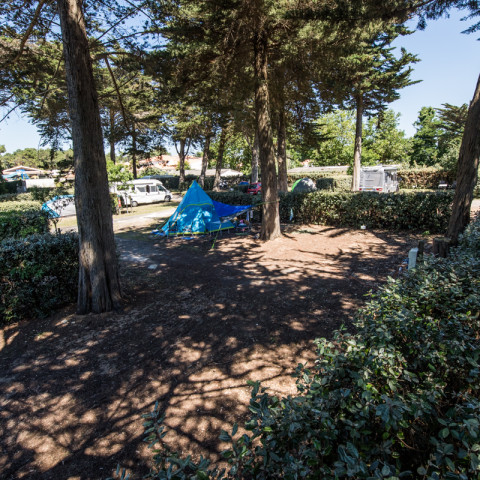 campinglesgrenettes-iledere-emplacements.jpg