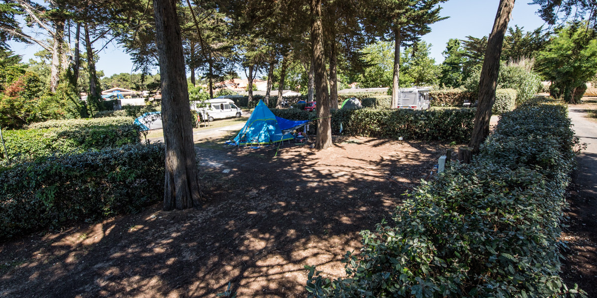 campinglesgrenettes-iledere-emplacements.jpg