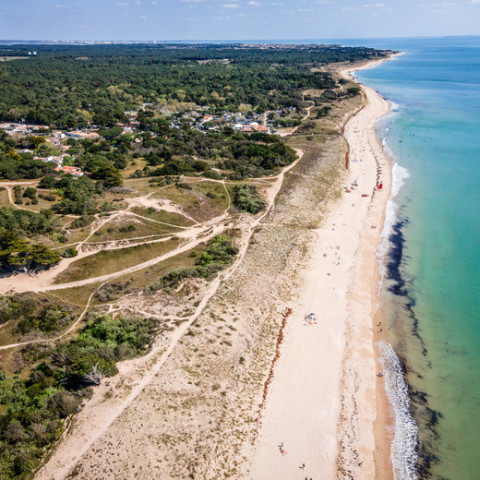 Bois plage en ré.jpeg